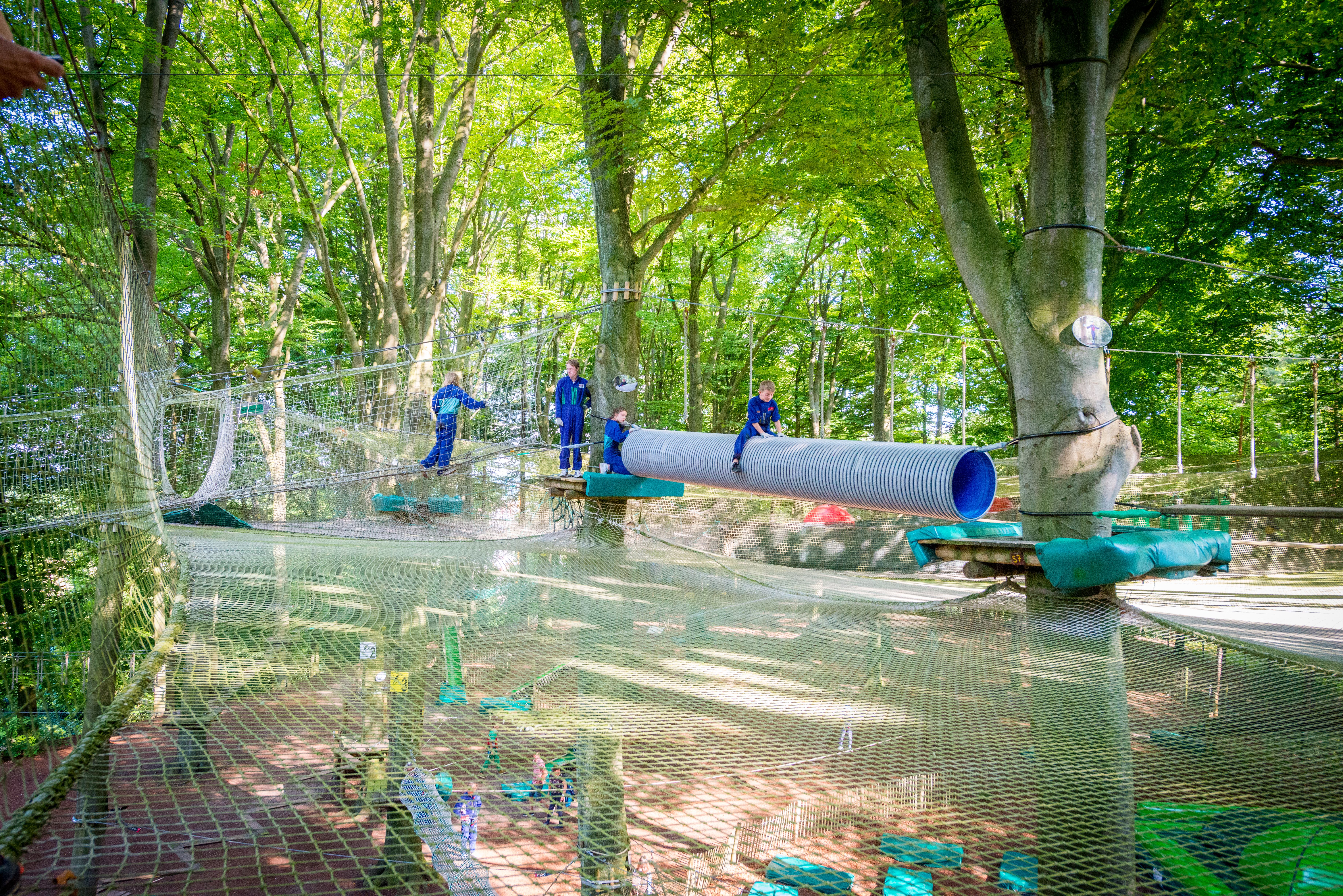 Aventure Parc Wavre, il parco avventura a 2 passi da Bruxelles 